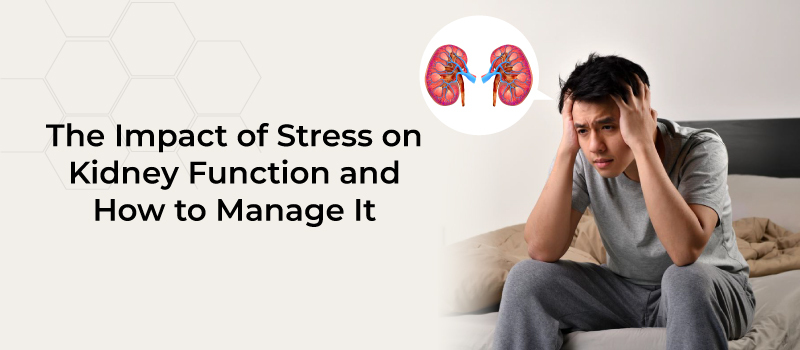 Kidney diseases