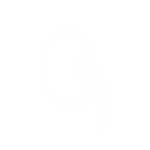 nephrology