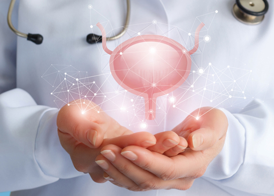 female urology 