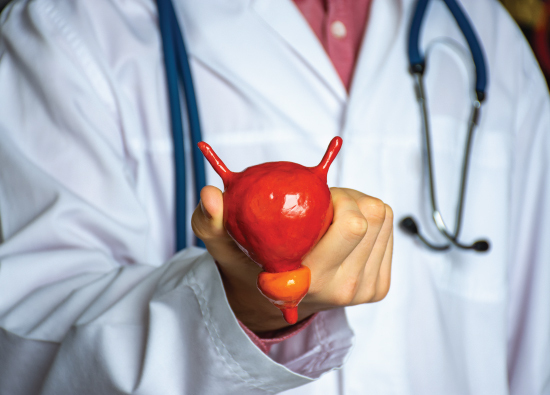 female urology 