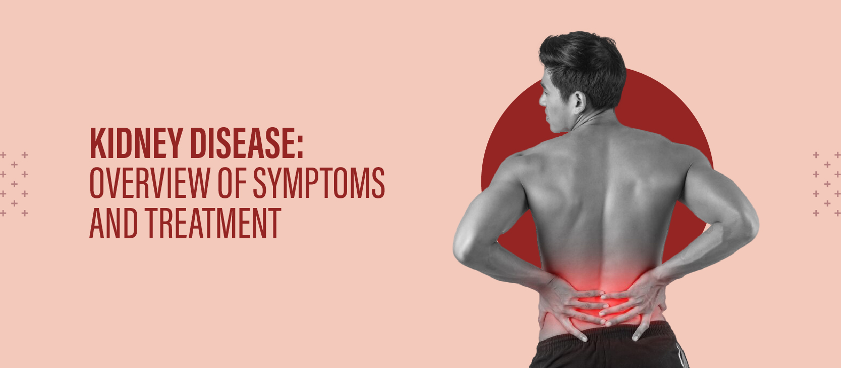 Understanding the Kidney Transplant Journey